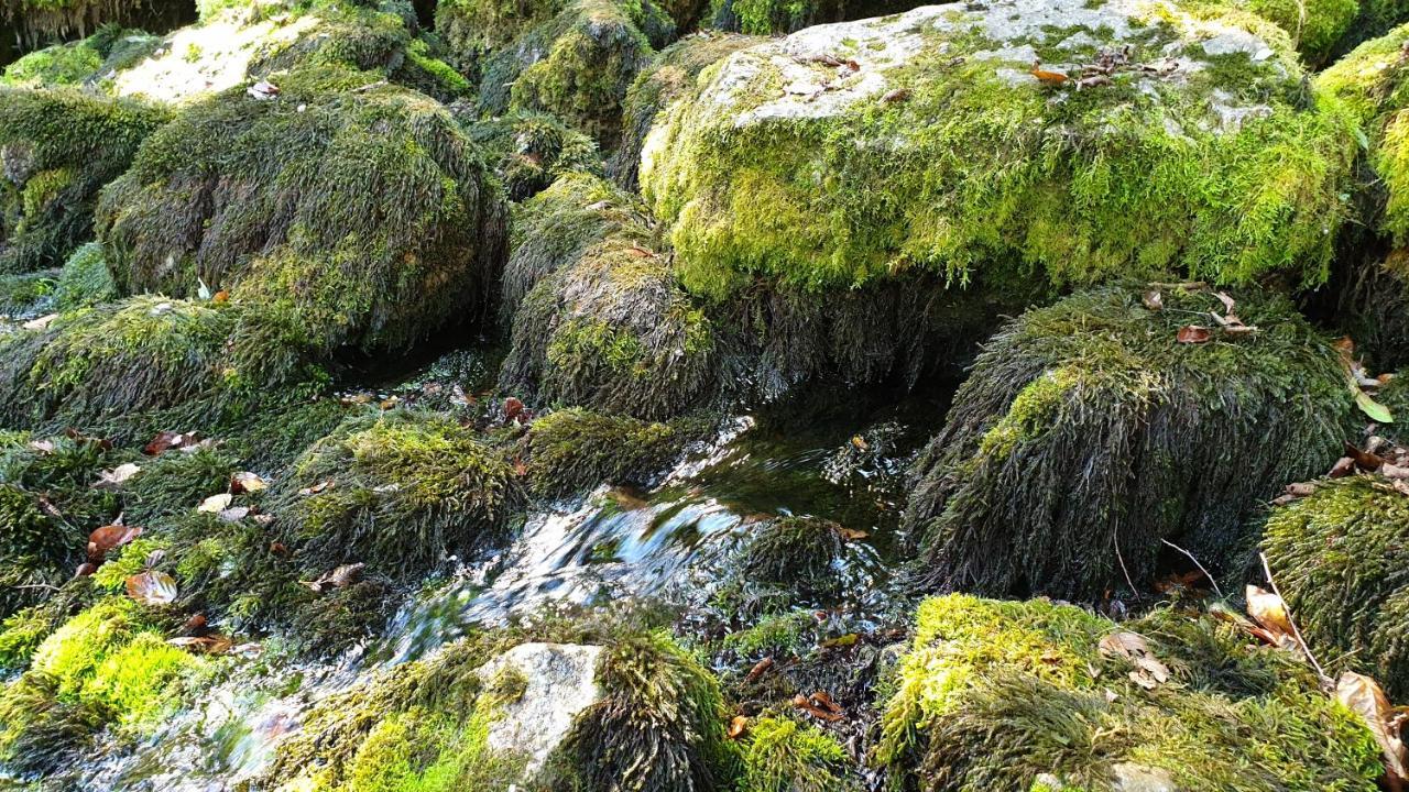 Stone Room-Kamena Soba Sipovo Zewnętrze zdjęcie